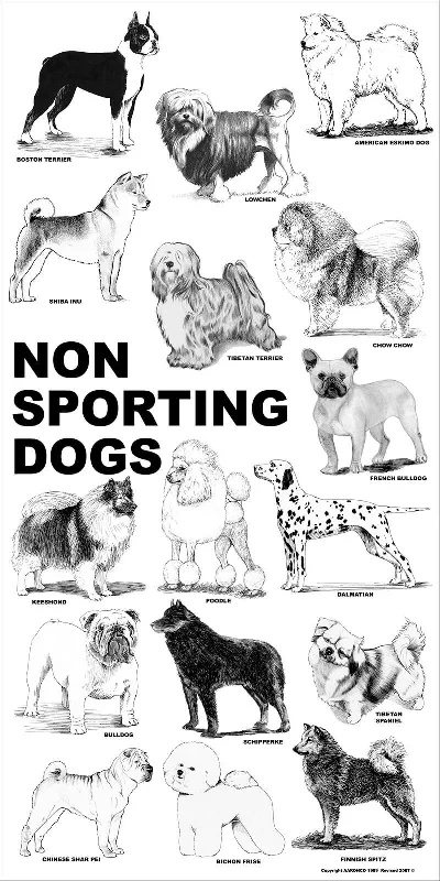 Breed Posters - Non Sporting Dogs (18" x 24")