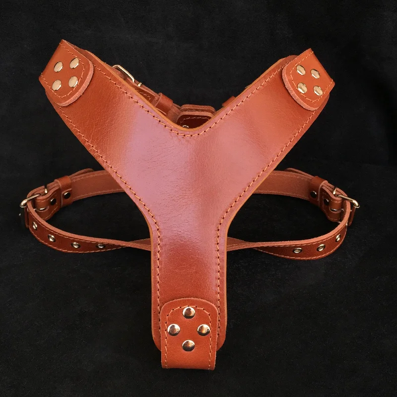 The ''Style'' harness Brown