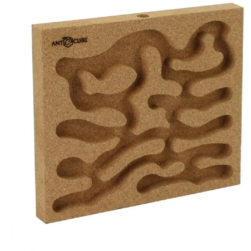 ANTCUBE – Cork nest 20×20 – standing