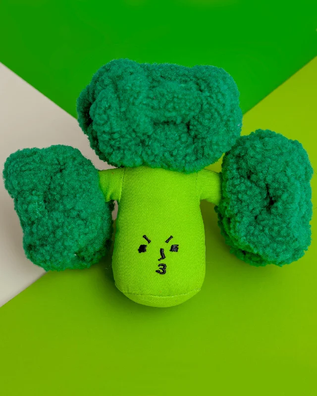 Broccoli Nosework Dog Toy