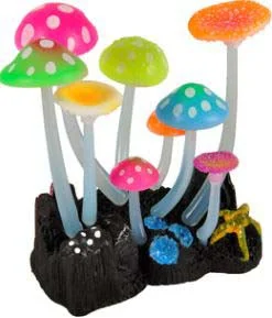 FLAMINGO Decor pentru acvarii Fluo Mushrooms