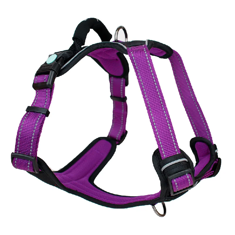 Huskimo Ultimate Dog Harness Aurora