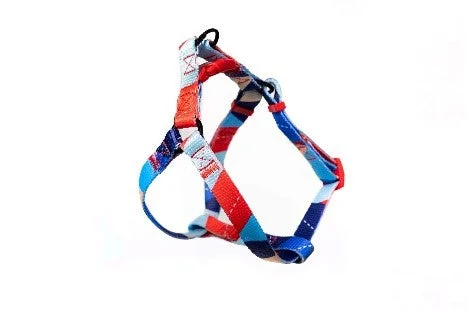 Pickles Ocean Blue Harness