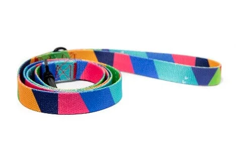 Pickles Rainbow Dreams Leash