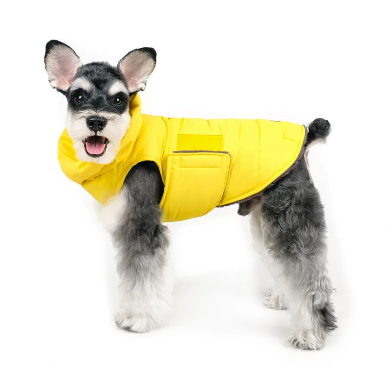 CHARLIE'S BACKYARD | Turtle Padding Jacket in Yellow